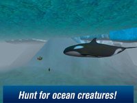 Killer Whale: Orca Simulator 3D Free screenshot, image №1333153 - RAWG