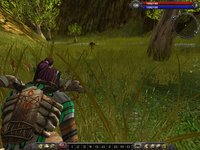 Asheron's Call 2: Fallen Kings screenshot, image №367787 - RAWG