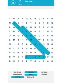 Word Search: A fun word game screenshot, image №1889377 - RAWG