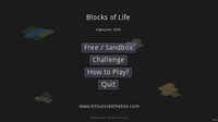 Blocks of Life screenshot, image №1102419 - RAWG