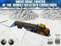 Truck Parking Simulator - Ice Road Truckers Edition screenshot, image №918936 - RAWG