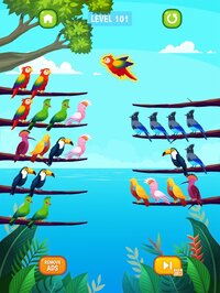 Bird Sort Puzzle screenshot, image №3337672 - RAWG