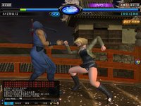 Dead or Alive Online screenshot, image №480166 - RAWG