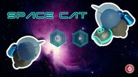 Space Cat (itch) (Andres) screenshot, image №2708176 - RAWG