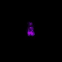 Animation FX FIRE screenshot, image №3187064 - RAWG