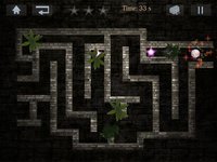 The Ancient Maze screenshot, image №1748043 - RAWG