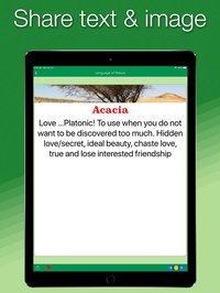 Language of Nature screenshot, image №1996478 - RAWG
