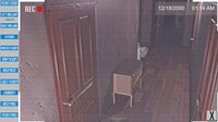 The Puppy screenshot, image №4217415 - RAWG