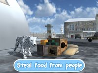 Wild Snow Leopard: Animal Simulator screenshot, image №1625830 - RAWG