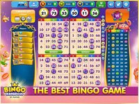 Bingo Kingdom: Free Bingo Game – Live Bingo screenshot, image №1479256 - RAWG