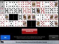 Gap Solitaire screenshot, image №2132018 - RAWG