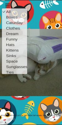 TapToCat screenshot, image №1730401 - RAWG