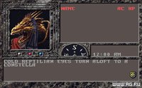 DragonLance Vol. 3: The Dark Queen of Krynn screenshot, image №321790 - RAWG