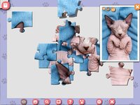1001 Jigsaw. Cute Cats 5 screenshot, image №3860803 - RAWG