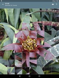 Jigsaw Puzzle: Flowers screenshot, image №1497475 - RAWG