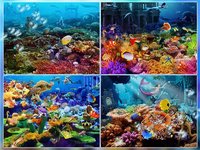 Hidden Objects - Mystery in the Sea screenshot, image №1777107 - RAWG