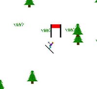 Ski Jam Xtreme screenshot, image №2879618 - RAWG