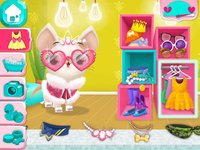 Miss Hollywood - Fashion Pets screenshot, image №1433287 - RAWG