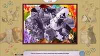 My Lovely Pets Collector's Edition screenshot, image №3793996 - RAWG