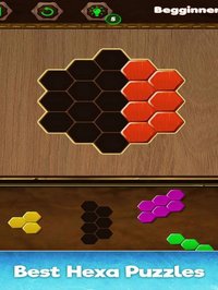 Amazing Hexa Classic: Puzzle G screenshot, image №1611733 - RAWG