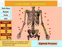 Label that Diagram - Human Sleleton 2 - Med screenshot, image №3625870 - RAWG