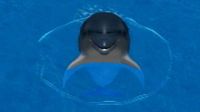 My Dolphin screenshot, image №246747 - RAWG