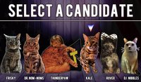 Cat President ~A More Purrfect Union~ screenshot, image №1673909 - RAWG