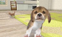 Nintendogs + Cats screenshot, image №1973983 - RAWG