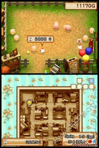Harvest Moon DS: Grand Bazaar screenshot, image №3277570 - RAWG