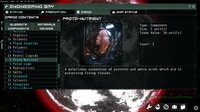 Ironseed 2: Consensus screenshot, image №4235878 - RAWG