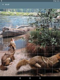 Jigsaw Puzzle: Animals screenshot, image №1497945 - RAWG