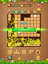 Block Puzzle: Wood Winner screenshot, image №2903556 - RAWG