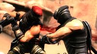 Ninja Gaiden 3 screenshot, image №564135 - RAWG