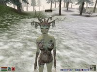 The Elder Scrolls 3: Bloodmoon screenshot, image №361995 - RAWG