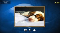 Puppy Dog: Jigsaw Puzzles screenshot, image №146152 - RAWG