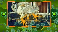 Twizzle Puzzle: Reptiles screenshot, image №3994823 - RAWG