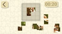 Ultimate Puzzles Collection screenshot, image №2951518 - RAWG