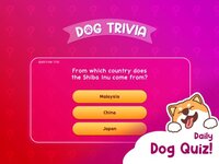 Dog Hotel Tycoon screenshot, image №3337446 - RAWG