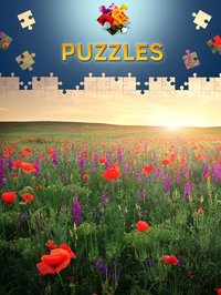 Flowers Jigsaw Puzzles Premium screenshot, image №1885946 - RAWG