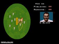 Cricket '96 screenshot, image №304650 - RAWG