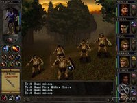 Wizards & Warriors: Quest for the Mavin Sword screenshot, image №315484 - RAWG