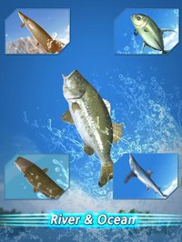 Fishing Season: River To Ocean (Android) screenshot, image №2093931 - RAWG