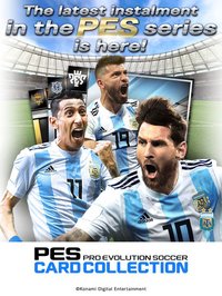 PES CARD COLLECTION screenshot, image №900851 - RAWG