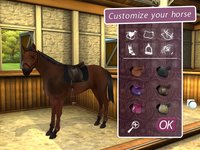 My Horse and Me 2 screenshot, image №497527 - RAWG