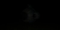 A Sound in the Woods screenshot, image №3872055 - RAWG