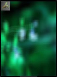 Baby & Animal Vision screenshot, image №1981010 - RAWG