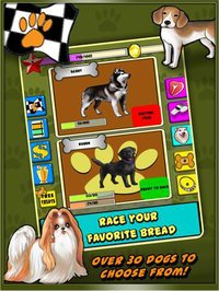 Dog Racer for iPad screenshot, image №2032683 - RAWG