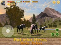 Horse Family Simulator screenshot, image №1625800 - RAWG