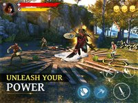 Iron Blade: Medieval Legends RPG screenshot, image №1693523 - RAWG