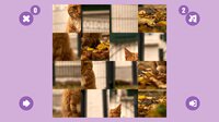 CAT GAME🐱 screenshot, image №3435662 - RAWG